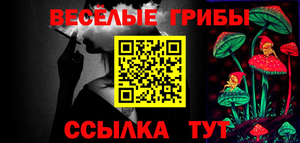 Псилоцибиновые грибы прущие грибы  Псилоцибиновые грибы Psilocybine cubensis  Вход с VPN  Новоалександровск 