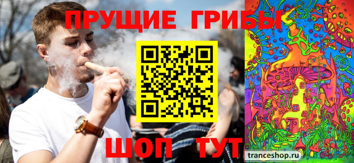 Галлюциногенные грибы MAGIC MUSHROOMS Новоалександровск
